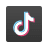 tiktok icon